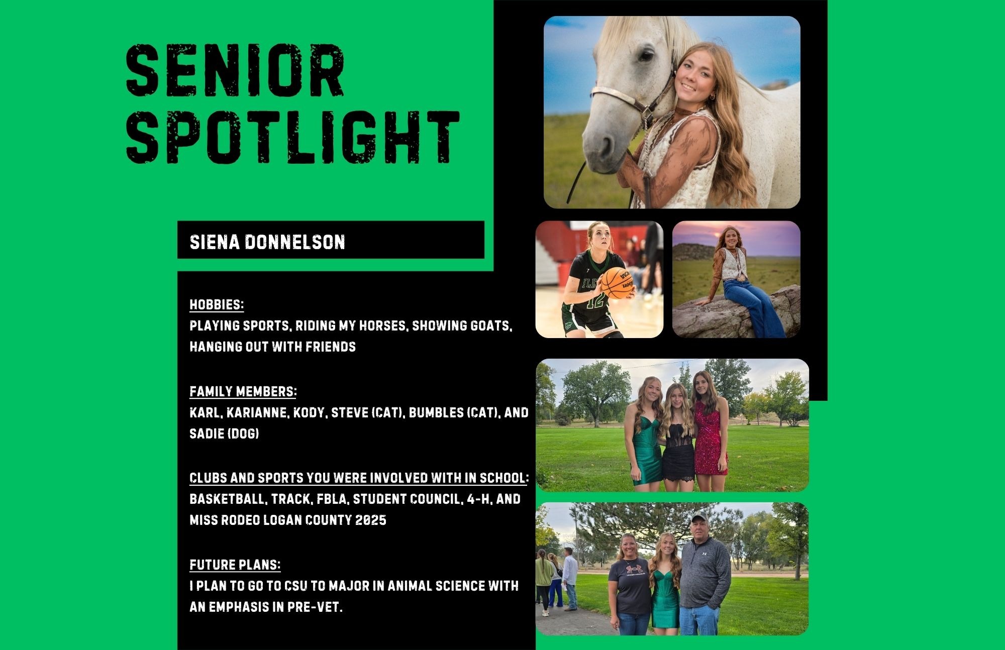 Wildcat Chat Family Newsletter