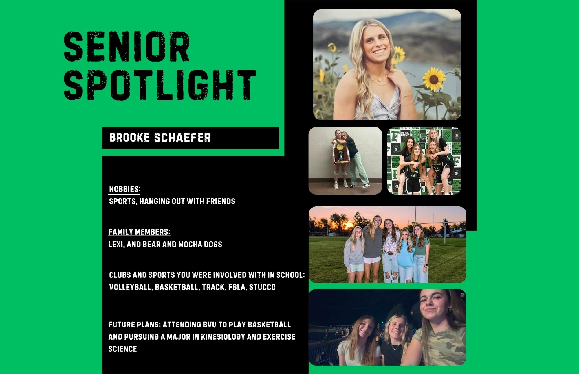 Wildcat Chat Family Newsletter