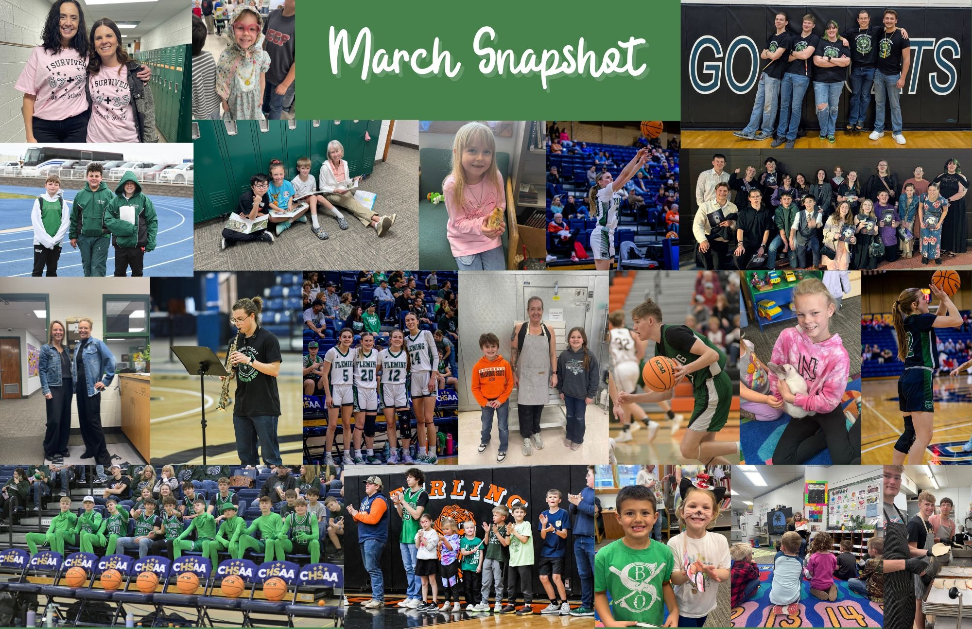 Wildcat Chat Family Newsletter