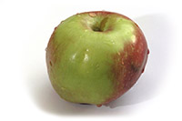 Photo of an apple.