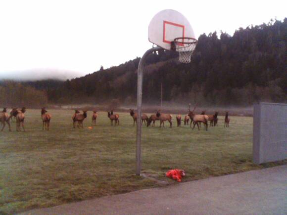 Different photos of the school students in outdoor activities