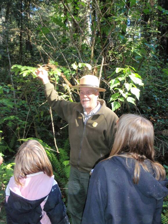 Different photos of the school students in outdoor activities