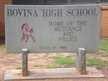 Bovina High School