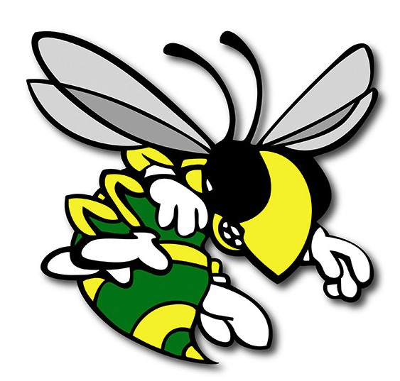 Hornets logo