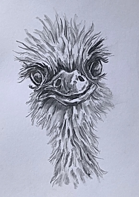 "Quirky Hello" by Hosanna, BVA Student