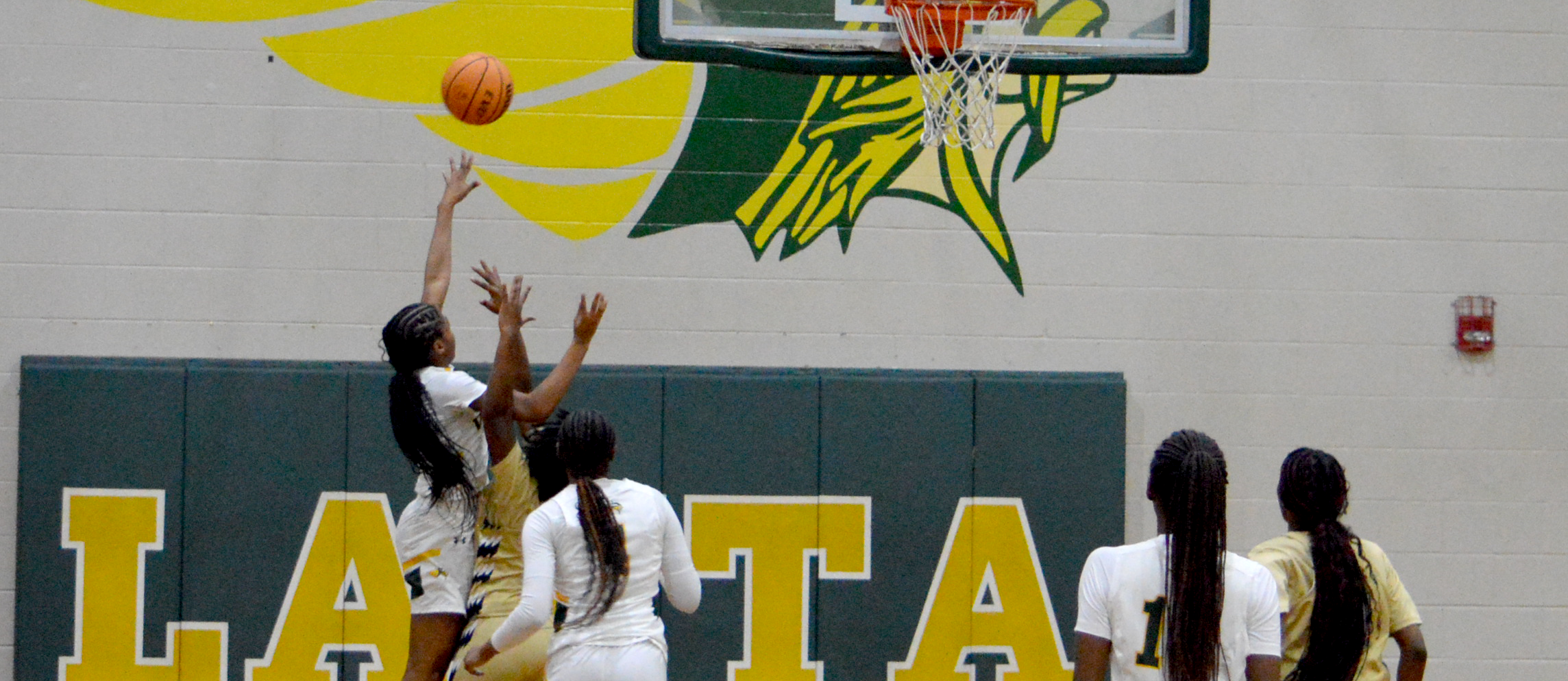 Kaliya Herman's 1,000 points