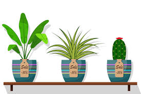 plants on shelf