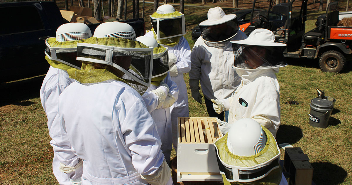 Our apiculture program connects students with art and science of beekeeping. 