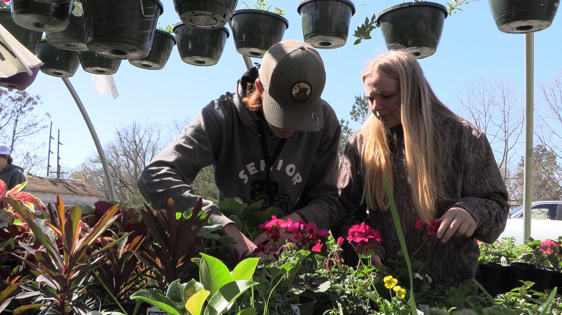 Students work in the greenhouse prior to plant sale.