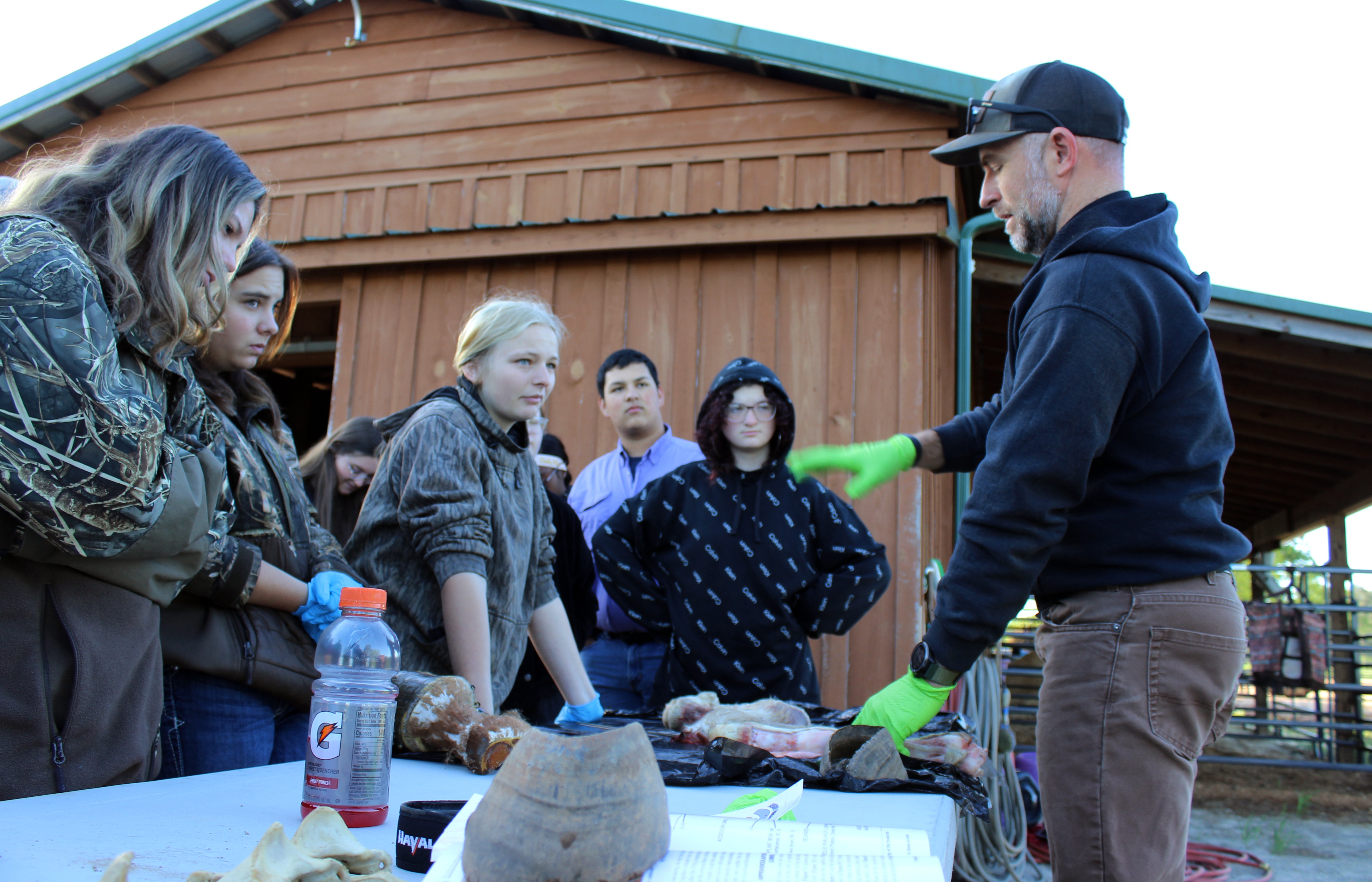 Equine students participate in a lab.