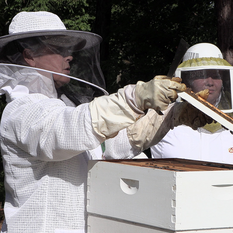 Our apiculture program connects students with art and science of beekeeping. 