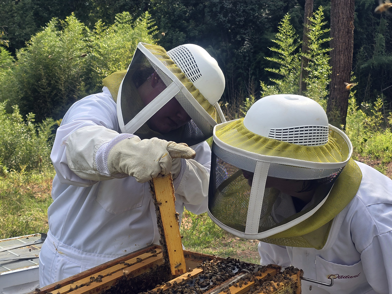 Two students work together examining one of the bee hives. 