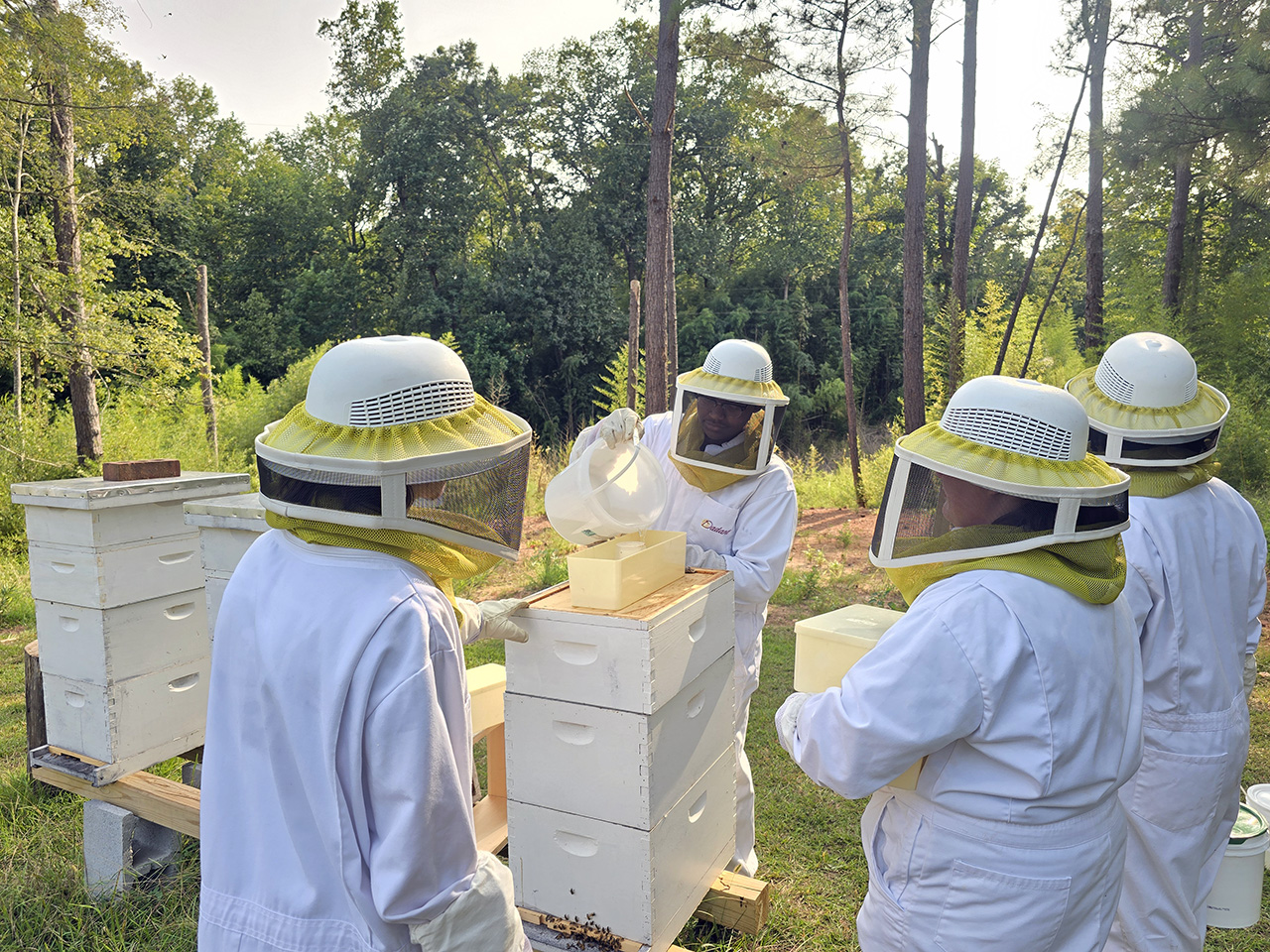 Our apiculture class begins to study one of the campus bee hives.