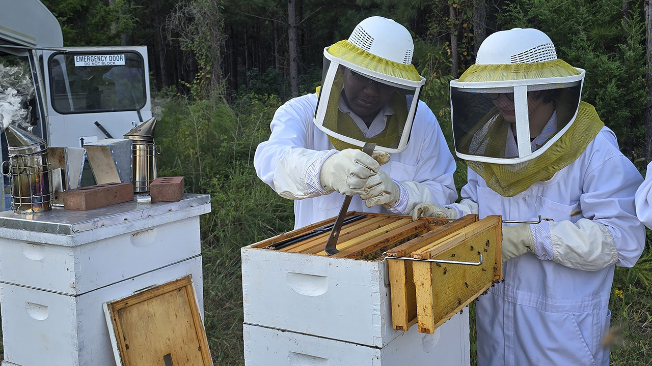 Two students prepare to examine one of our bee colonies.