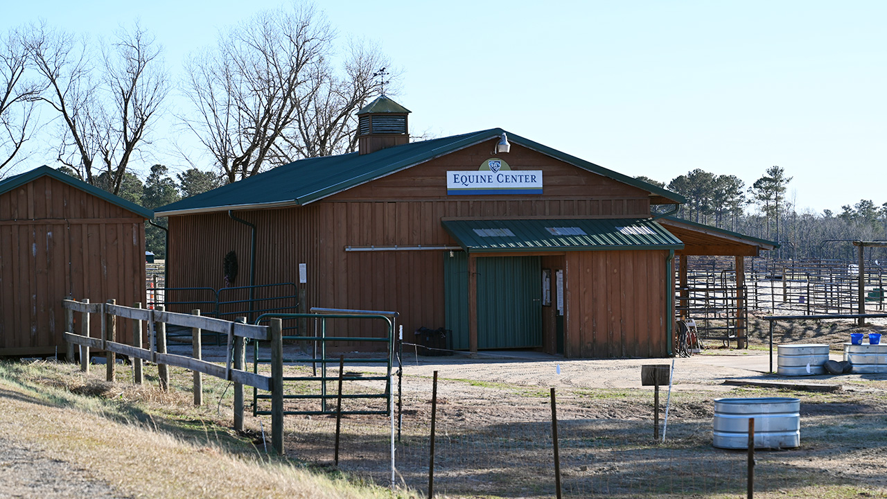 The Equine Center is a growing program for students interested in horses.