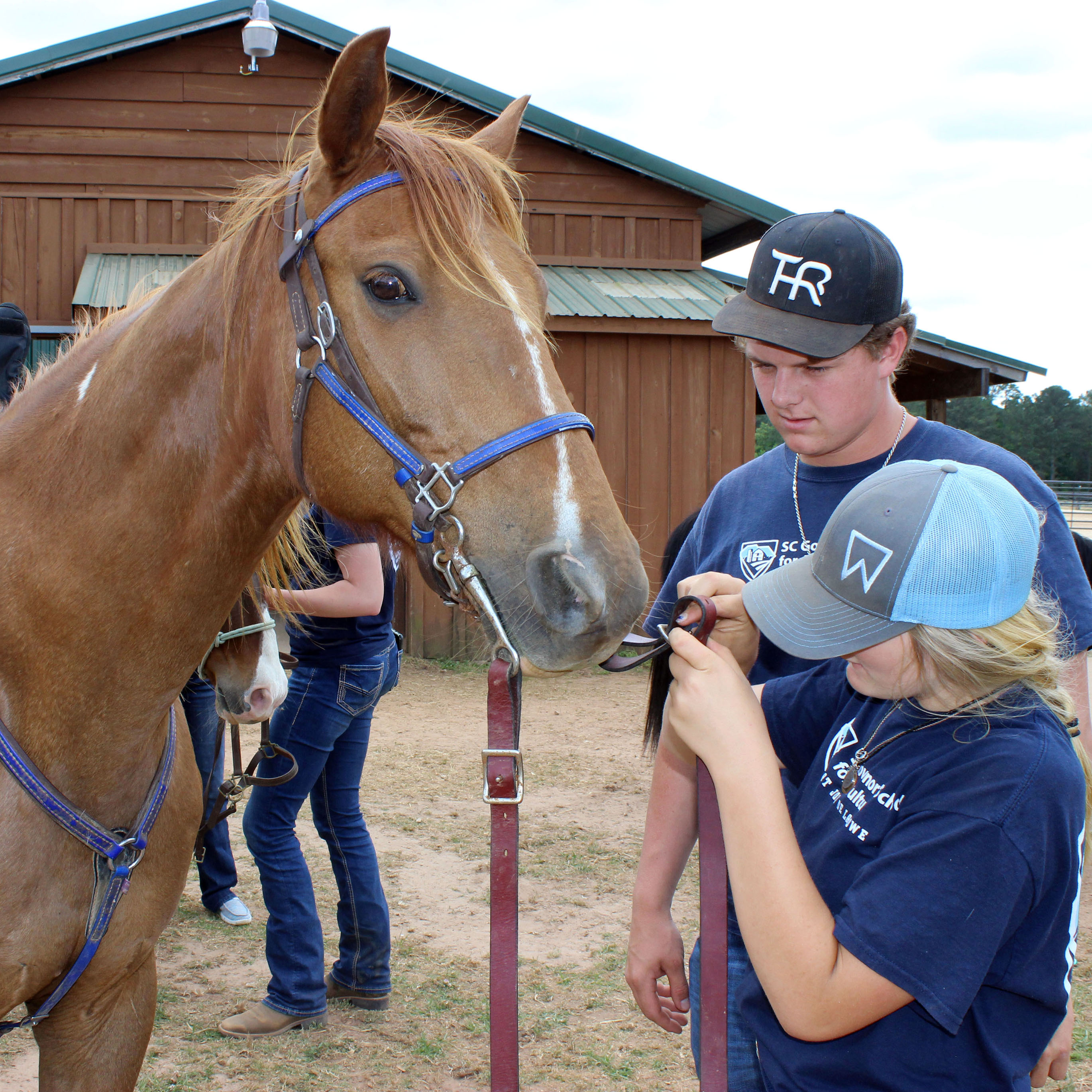 Students take a hand in preparing horses for the next instruction.