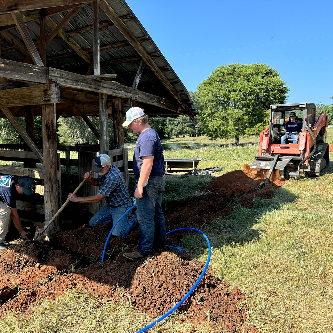 Students and farm staff work together to dig trenches as needed.