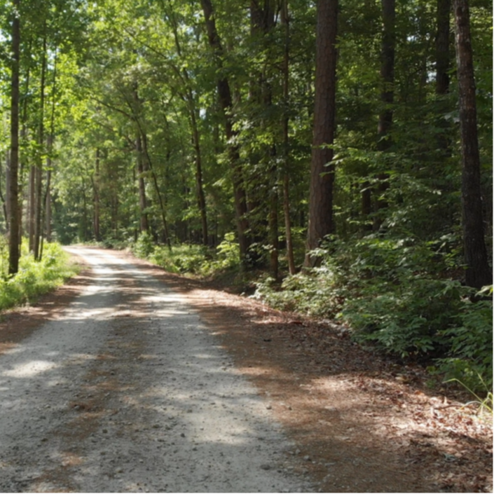 The 1,310-acre John de la Howe campus is blanketed with abundant forest land. 