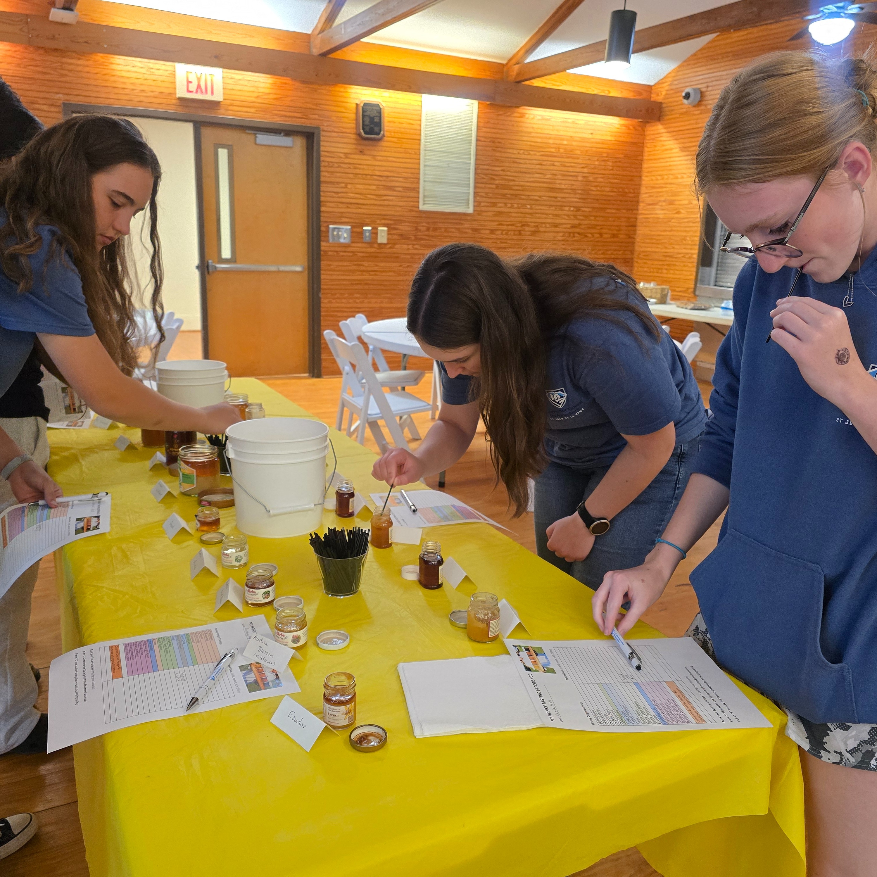 One of our students takes a closer look at one of the bee hives.