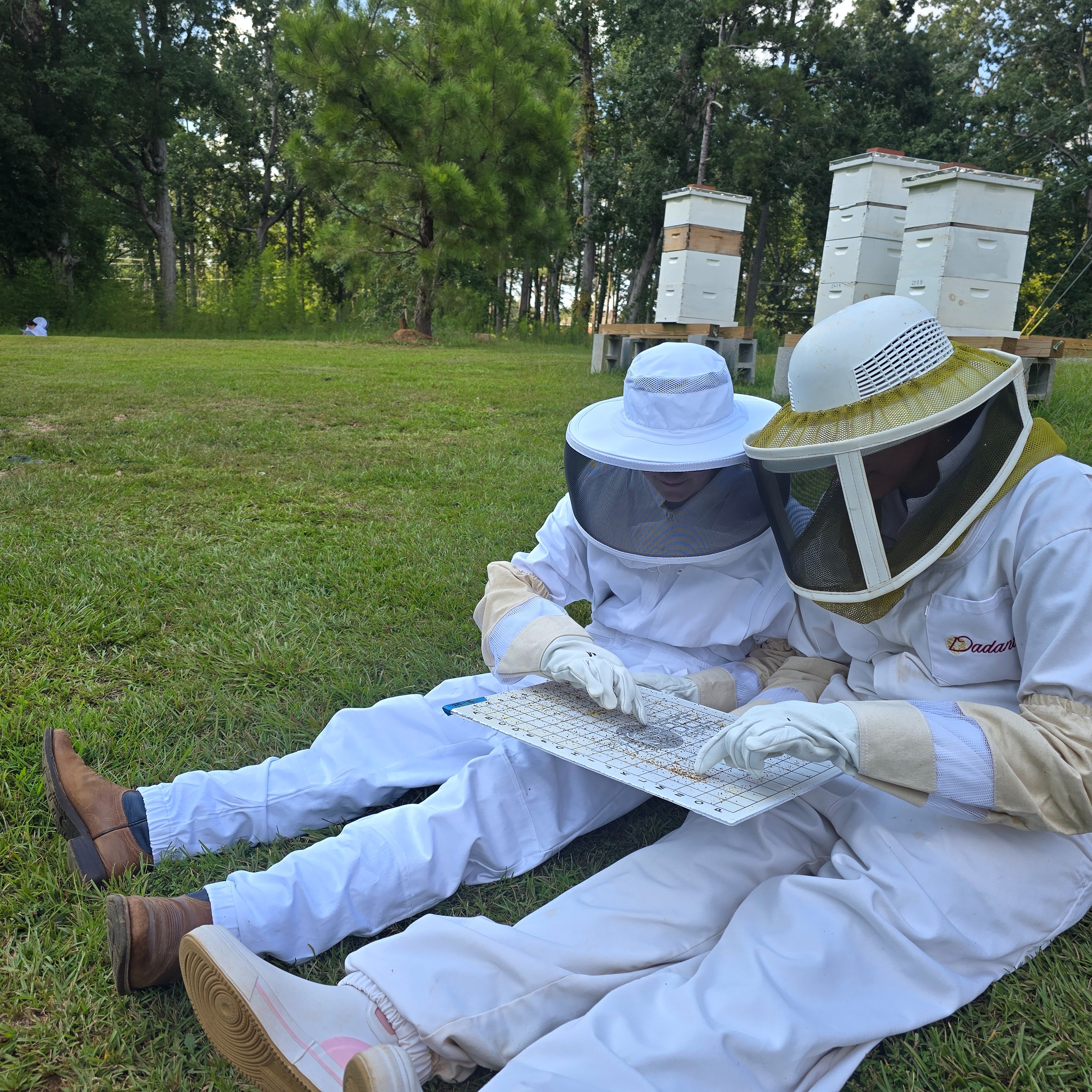 A student opens up one of the bee hives on campus.