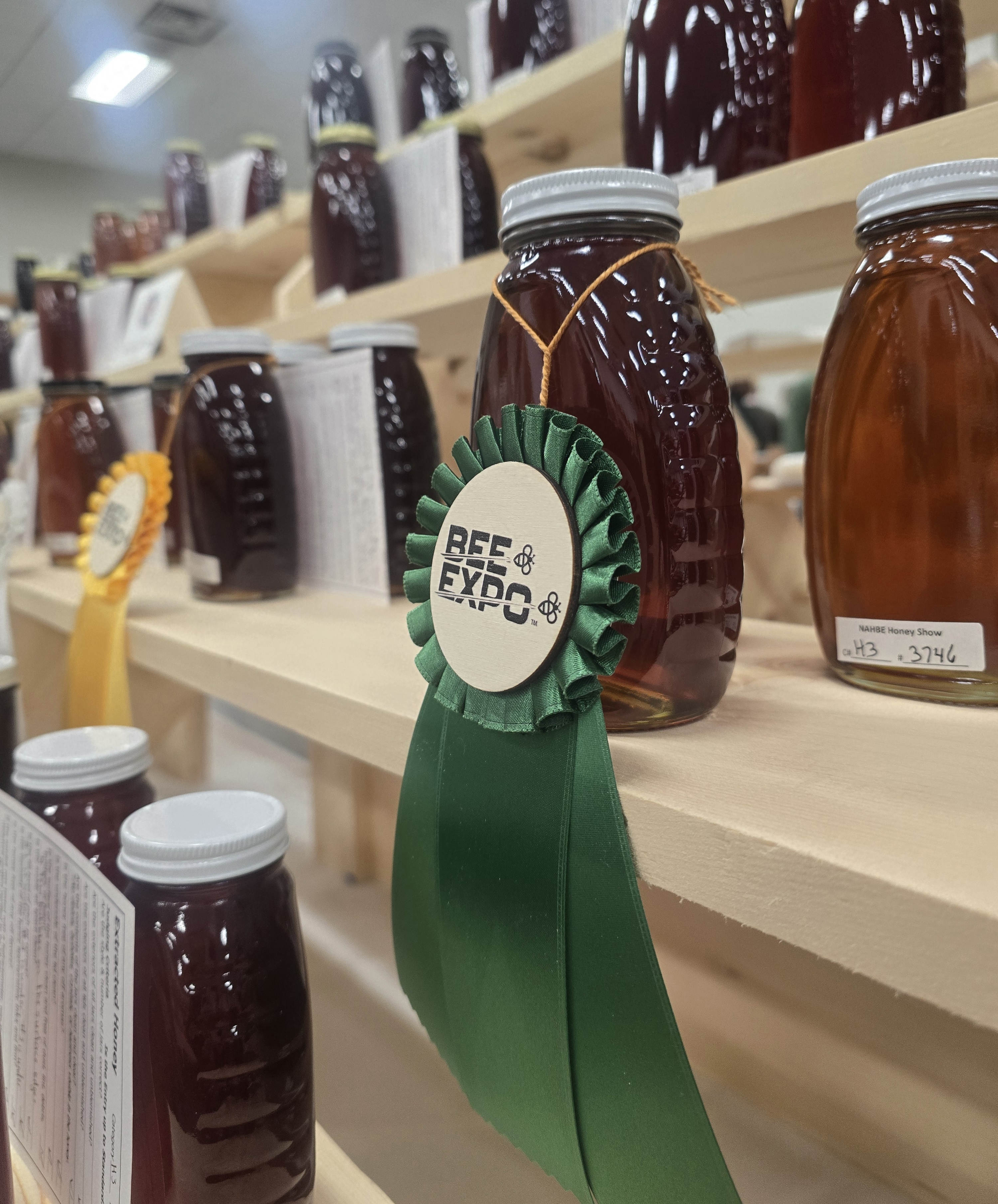 Garland's Prize Winning Dark Extracted Honey