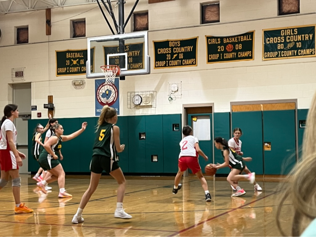 Lady Falcons Basketball