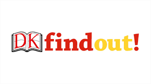 DK Findout!