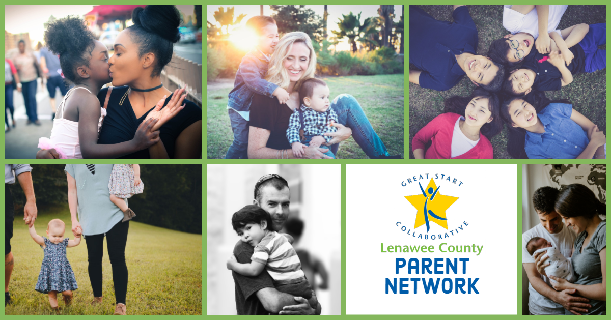 Lenawee County Parent Network Banner