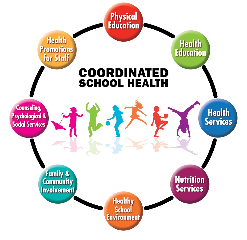 Coordinated School Health Cycle