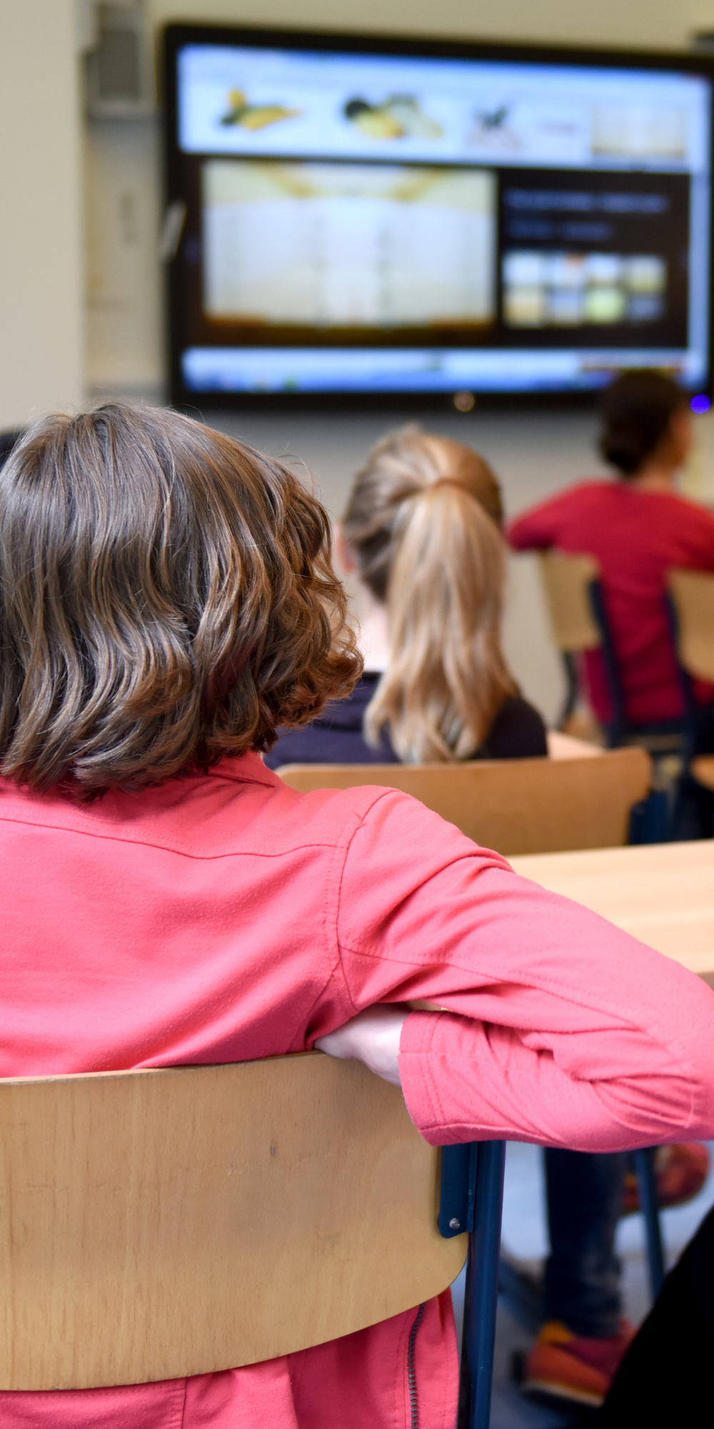 image of a child in class
