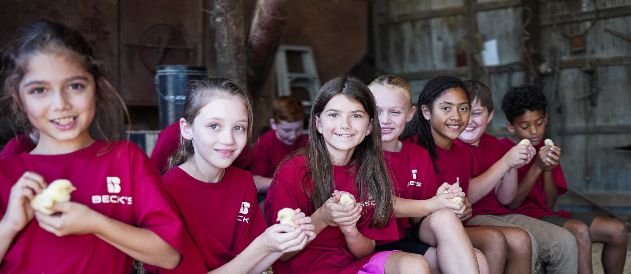 A group of elementary students wearing matching red Beck’s shirts sit together on hay bales inside a barn, smiling as they gently hold baby ducklings.