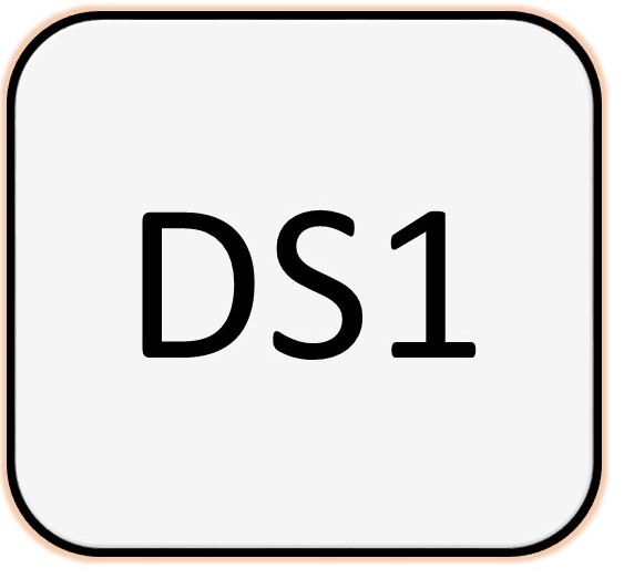 DS1 Account Manager