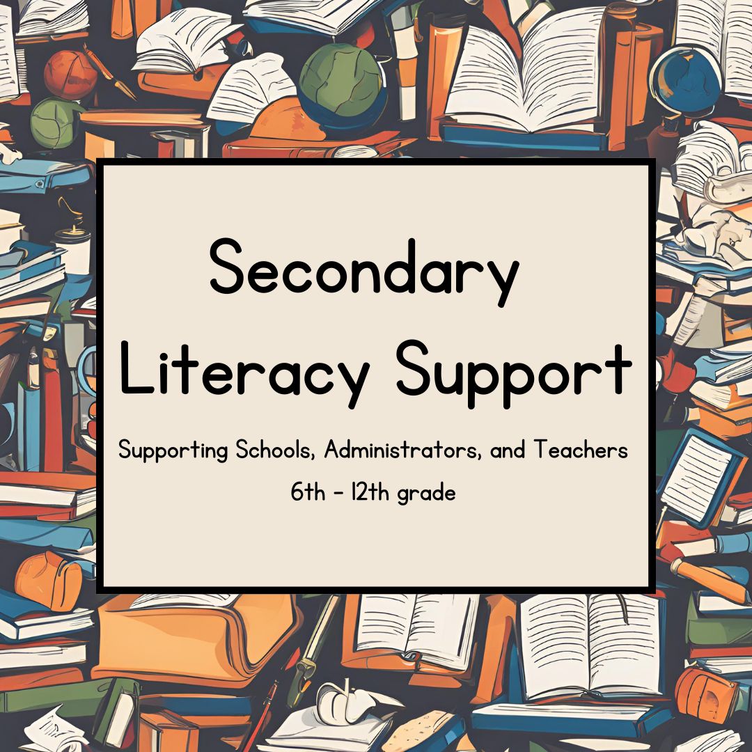 Secondary literacy Support