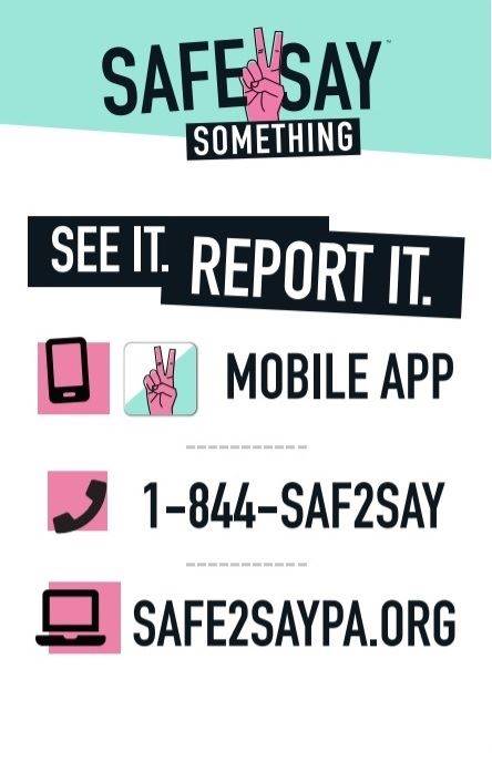 Safe 2 Say poster with website and phone information