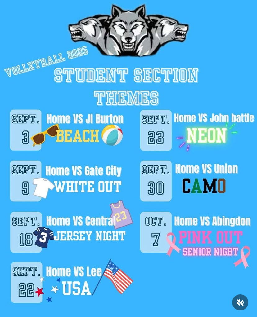 Volleyball student section