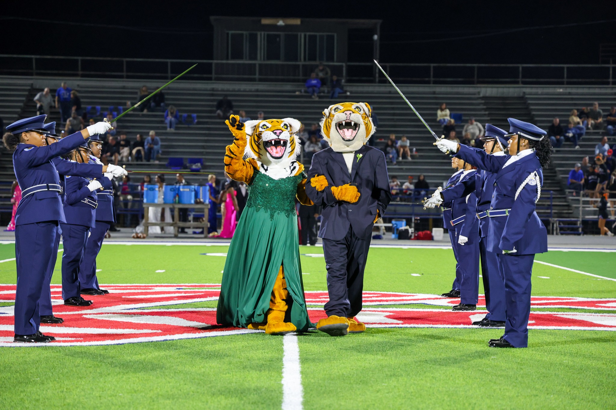 Our two tiger mascots at Homecoming getting recognized with the AFJROTC guiding them . 