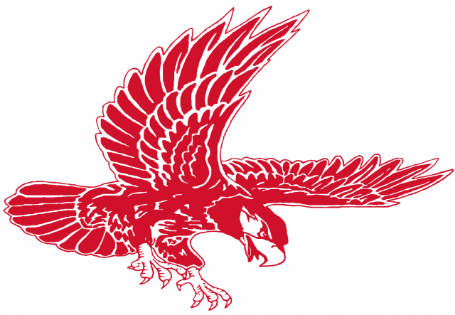 Red hawk