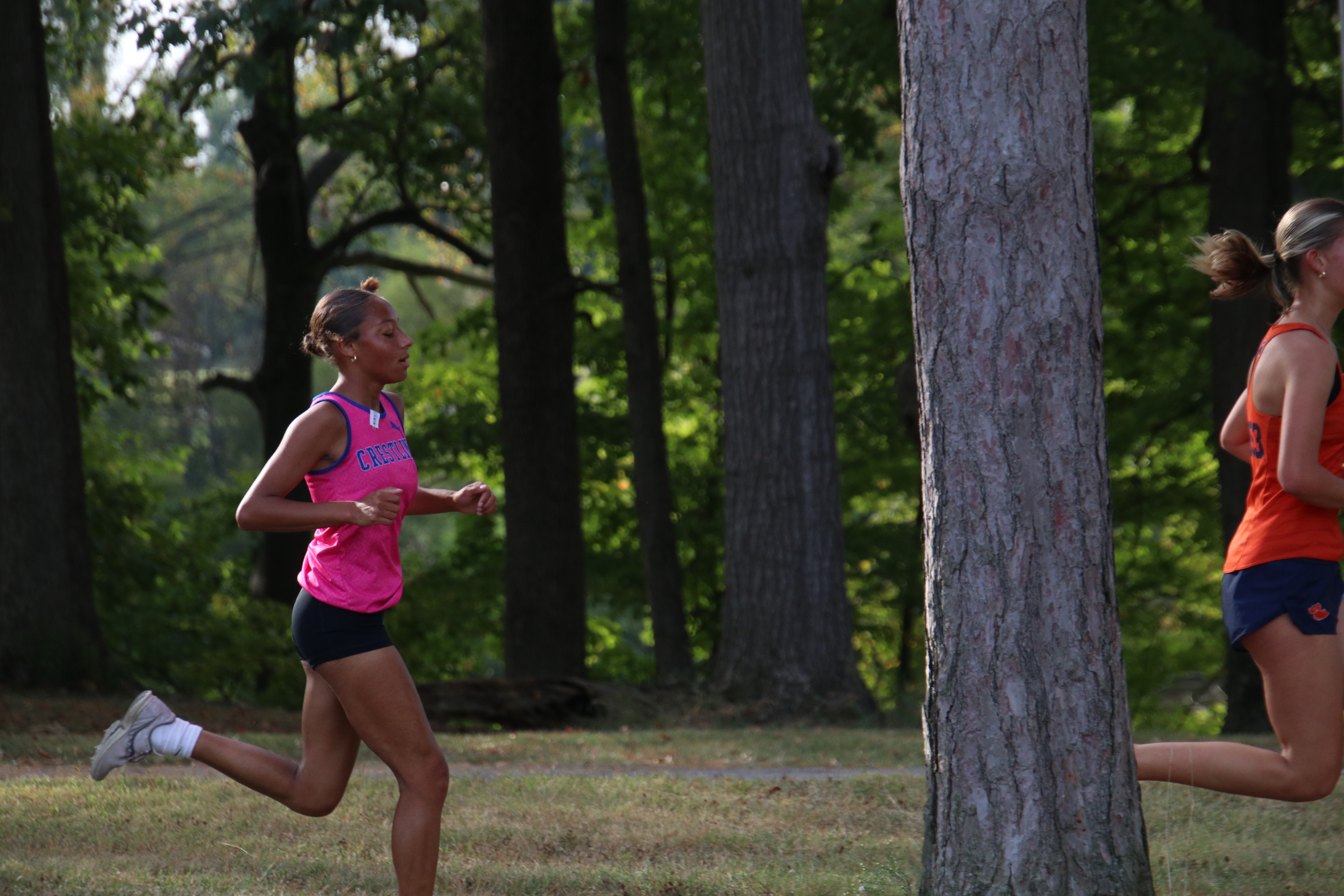 XC
