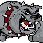 A fierce-looking cartoon bulldog with a spiked collar, showing its teeth and appearing aggressive.