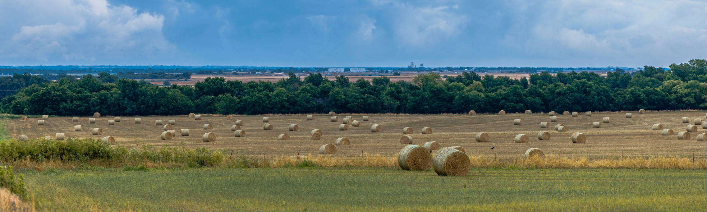 Agriculture Business Management