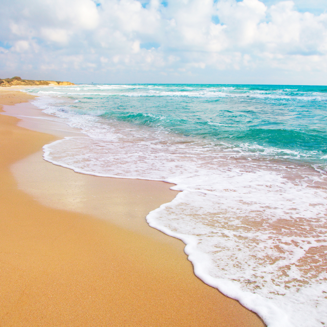 ocean with beach