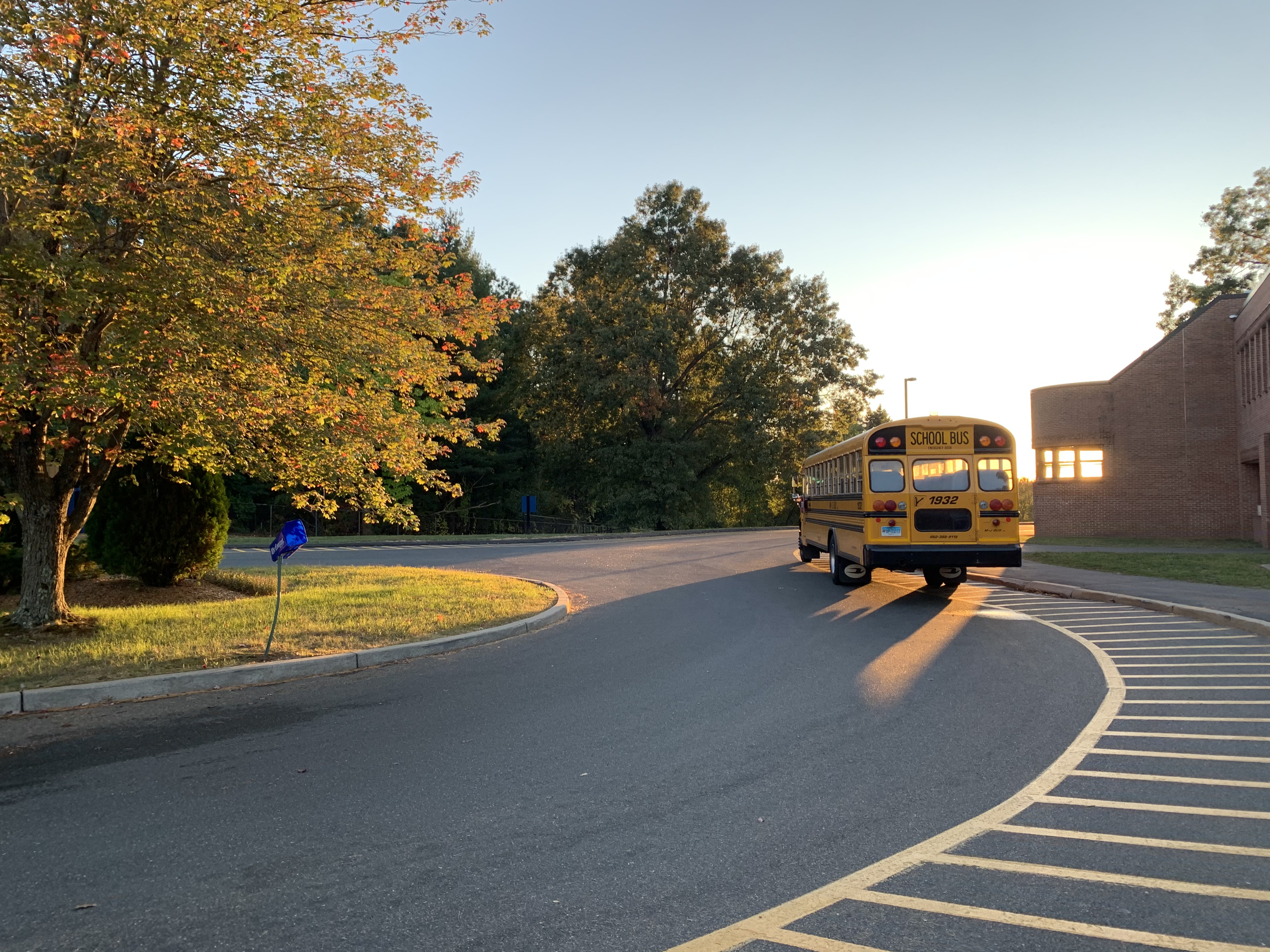 A yellow school bus is making a turn on a curved road surrounded by trees with autumn foliage, under a clear sky during sunset.