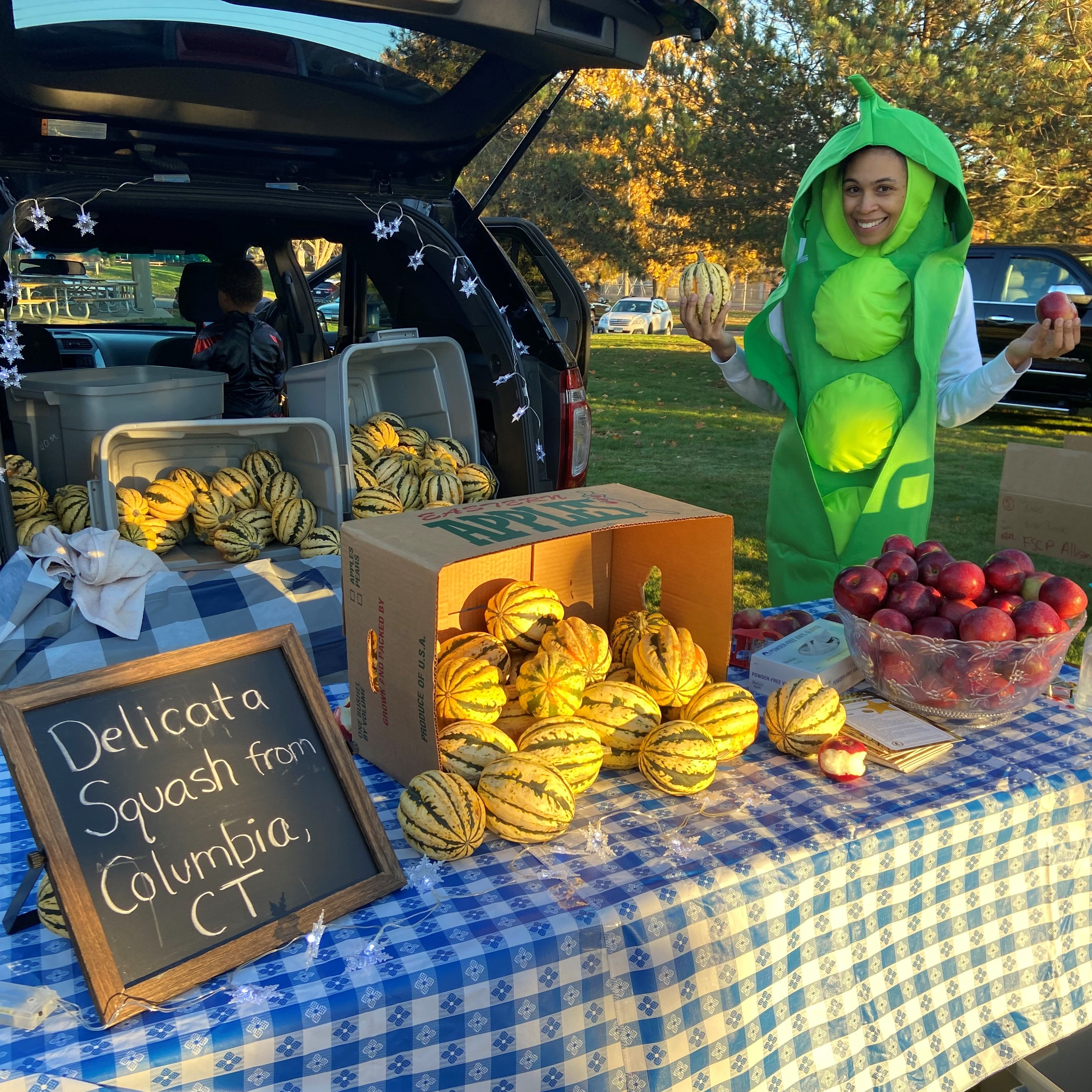 A person dressed in a green pea costume stands next to a table filled with various fruits and vegetables, including delicata squash and apples, at a market setting.