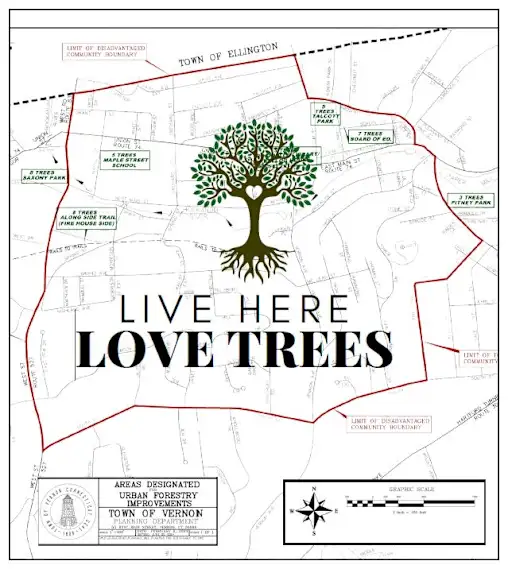Live Here - Love Trees logo