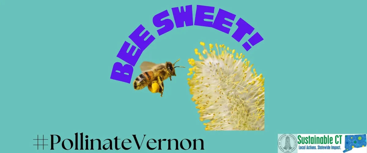 pollinate vernon banner