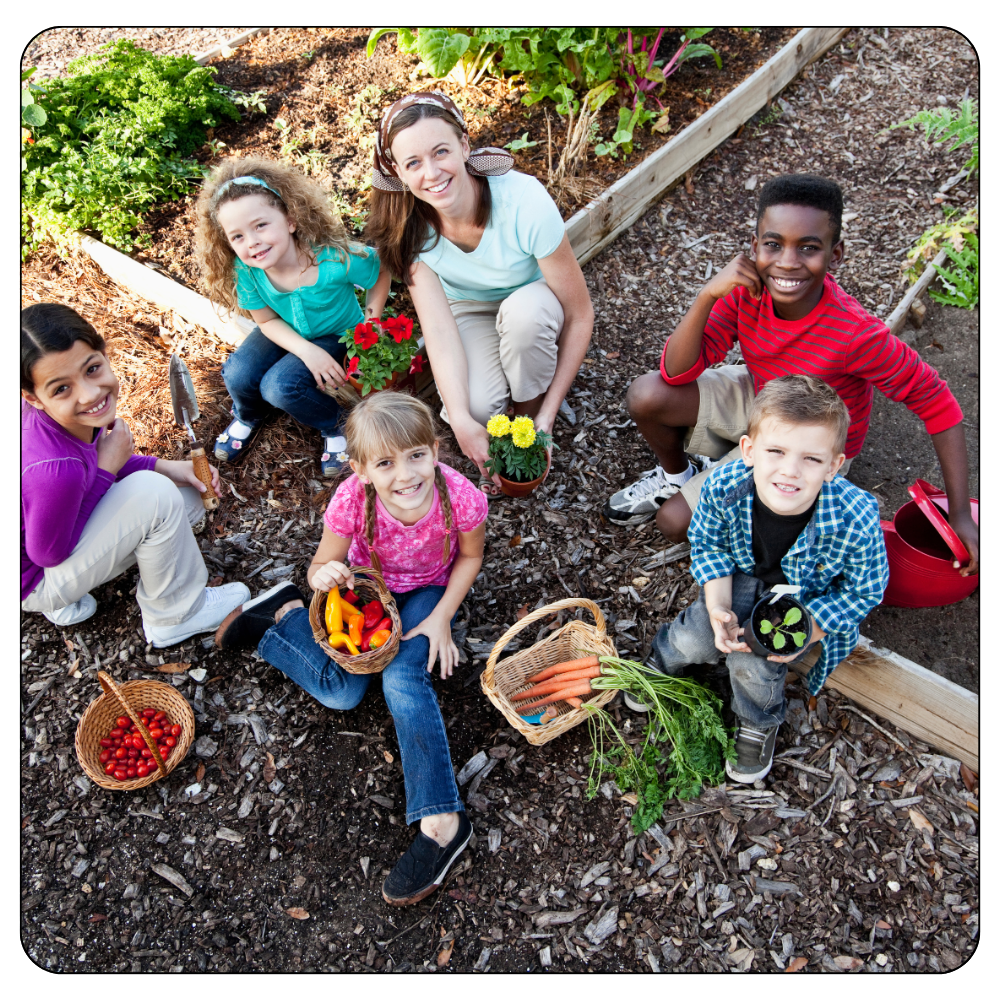 Garden Team