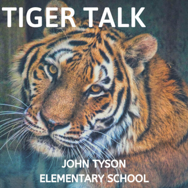 Tiger Talk image