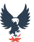 A stylized eagle with a skull-like head, standing on flames, surrounded by five stars above it.