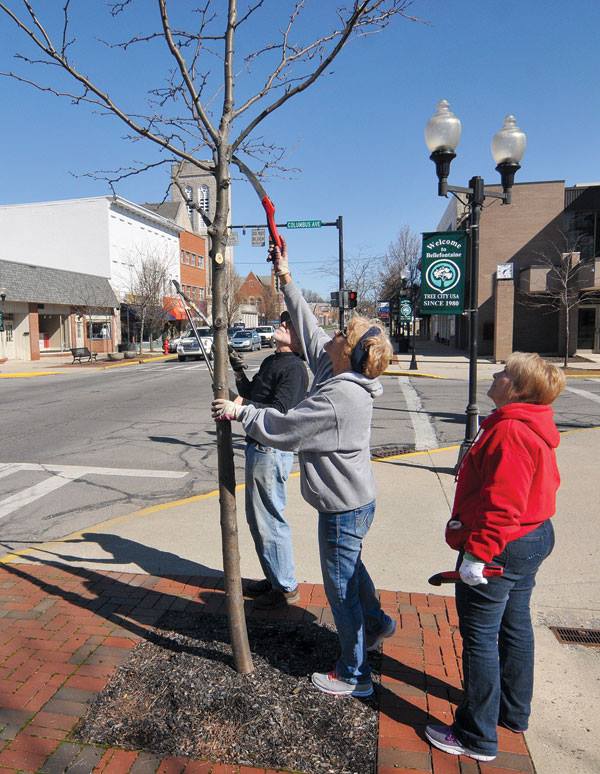 Three individuals are pruning a young tree on a sidewalk in a town, with buildings and street signs visible in the background.