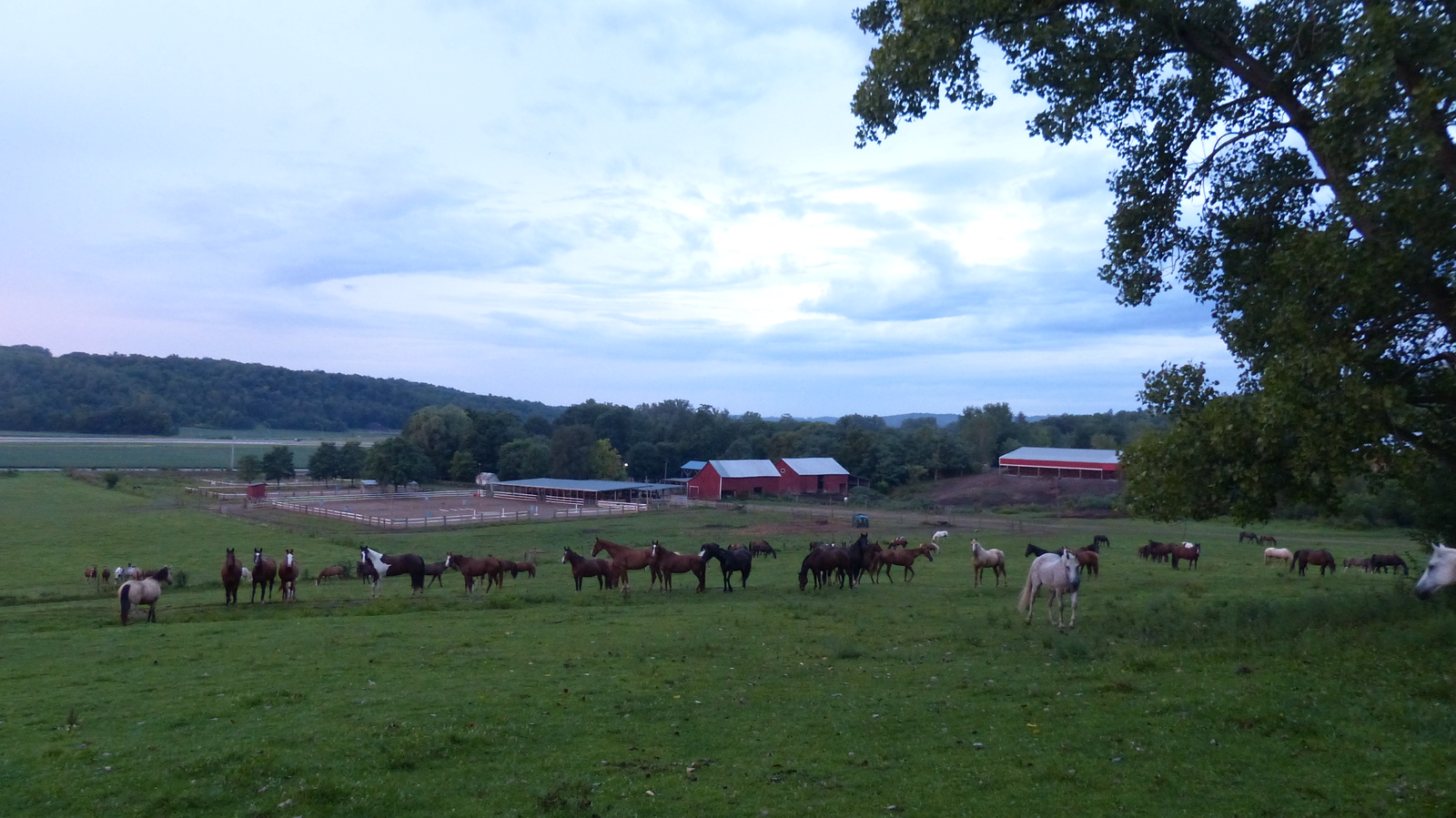 Marmon Valley Farms